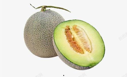 水果今日热门文案哈密瓜