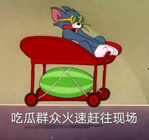 龚俊吃瓜爆料泰国视频,揭秘娱乐圈幕后真相