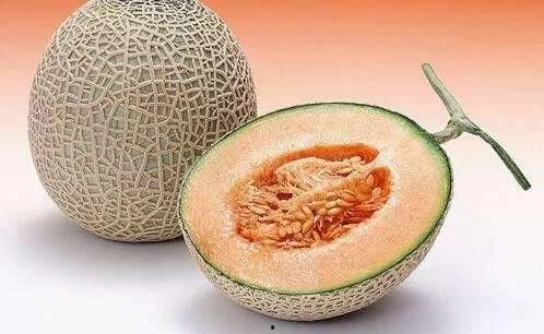 同城热门哈密瓜水果话题,同城水果新宠，甜蜜滋味尽享