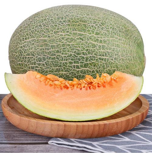 昆明小蜜瓜今日价格,新鲜上市，品质保证，价格实惠