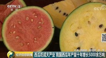 吃瓜群众今日必吃大瓜,揭秘娱乐圈最新热点事件