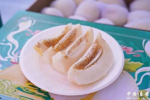 今日白脆瓜价格