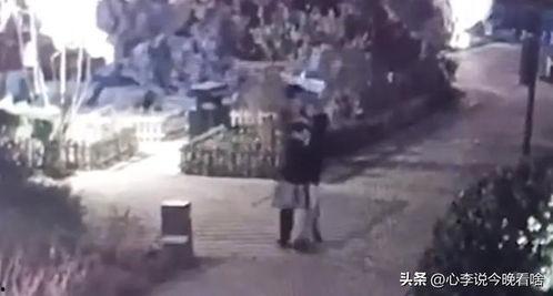 兰州老街吃瓜爆料事件,揭秘街头美食背后的争议与真相