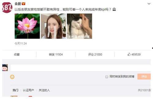 今日吃瓜视频全集,揭秘娱乐圈幕后真相，笑料百出！