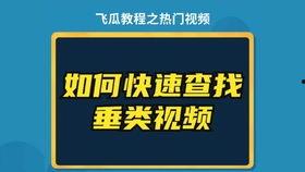 怎么用飞瓜热门音乐,揭秘音乐排行榜背后的流行趋势