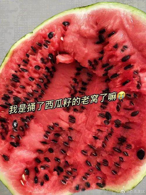 今日份瓜是啥,瓜界新动态
