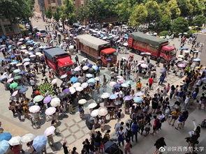 长清大学aj吃瓜爆料,揭秘校园风云背后的真相