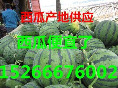 近期热门吃瓜事件山东泰安,最新吃瓜事件，揭秘背后真相