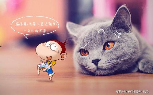 猫的次元吃瓜爆料,揭秘娱乐圈那些不为人知的秘密