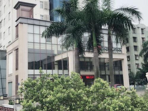 佛山明星网红饭店地址,明星饭店地址揭秘，美食与名流同框