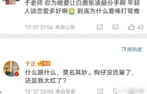 吃瓜爆料张凌赫视频,揭秘娱乐圈不为人知的幕后故事