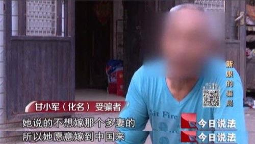 今日说法偷瓜,一场关于道德与法律的较量