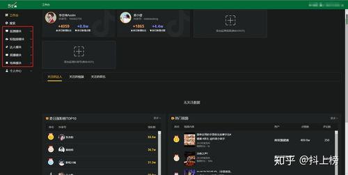 飞瓜数据抖音版热门,热门内容背后的秘密解析