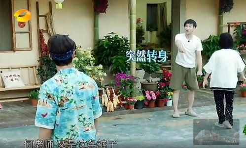 东北热门吃瓜事件真相,揭秘真相背后的曲折历程