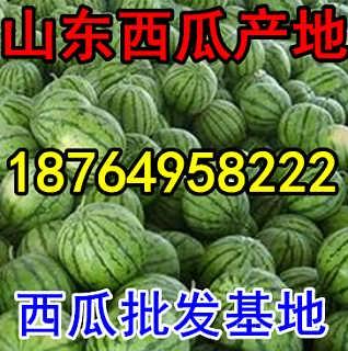 吊瓜产地行情今日,多产地价格波动，市场供需动态解析