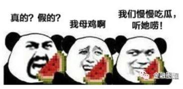 吃瓜哥往期爆料图,一场视觉盛宴的回顾