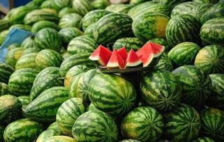 美华瓜今日价格,市场波动下的新鲜行情解析”