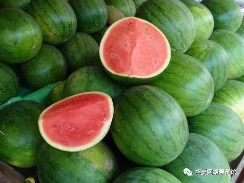今日红瓜最新价格,今日最新行情一览