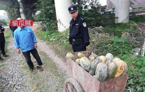 富宁近期热门吃瓜事件新闻,揭秘近期爆红网络事件背后的真相