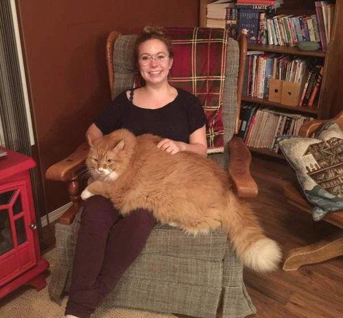 近期热门吃瓜事件胖猫,揭秘近期热门事件背后的真相与笑料