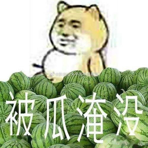 吃瓜黑料正能量爆料群,揭秘网络舆论背后的温暖力量