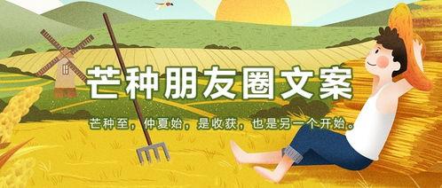 农民摘瓜的热门文案短句,农民摘瓜喜获丰收