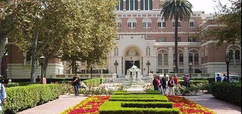 南加州大学热门大瓜,揭秘校园热门大瓜背后的真相