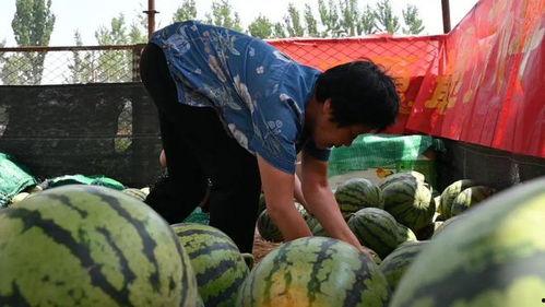 近期留村热门吃瓜事件,揭秘近期乡村风云事件