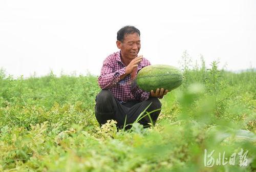 近期留村热门吃瓜事件,揭秘近期乡村风云事件