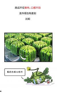 历史热门吃瓜事件有哪些,揭秘那些年我们津津乐道的八卦风云