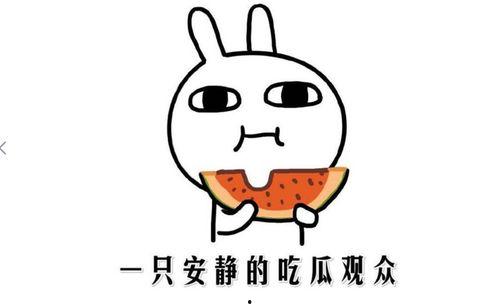 抖音最新吃瓜热门事件,最新吃瓜事件揭秘，网友热议不断！