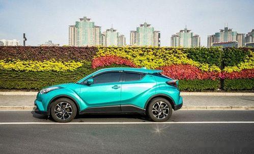 瓜车推荐性价比之王热门款式,热门款式深度解析与推荐