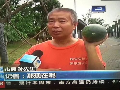 湖北吃瓜热门事件真相,还原背后真相