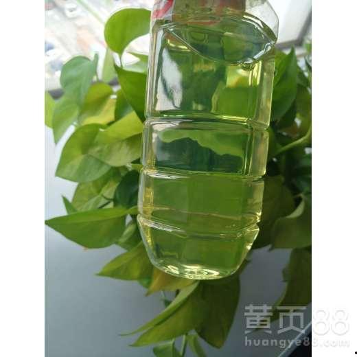 广东湛江今日水瓜,今日新鲜上市，夏日消暑佳品