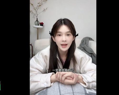 胖猫明星网红图片,萌态可掬，网络人气爆棚