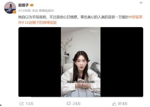 胖猫明星网红图片,萌态可掬，网络人气爆棚