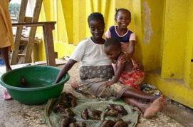 国外吃瓜爆料恐怖事件,国外吃瓜爆料恐怖事件始末