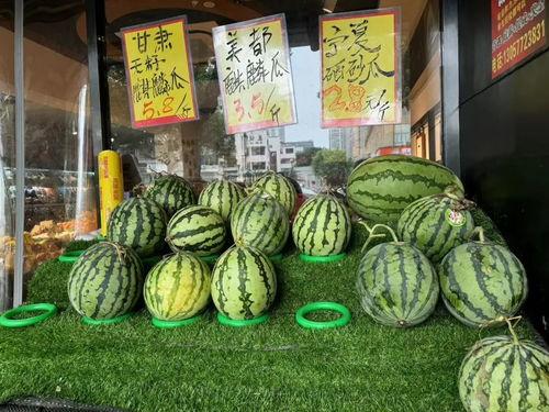 大棚麒麟瓜今日价格,涨跌分析及市场动态”