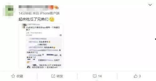 爆料吃瓜群众网址有哪些,揭秘“爆料吃瓜群众”网址全解析