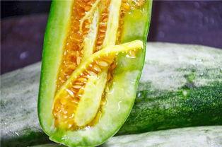 网红今日吃瓜,揭秘娱乐圈最新热点事件