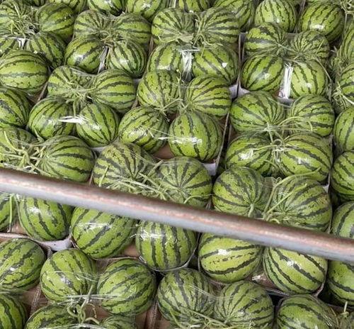 今日美都瓜价,揭秘今日瓜市风云录”