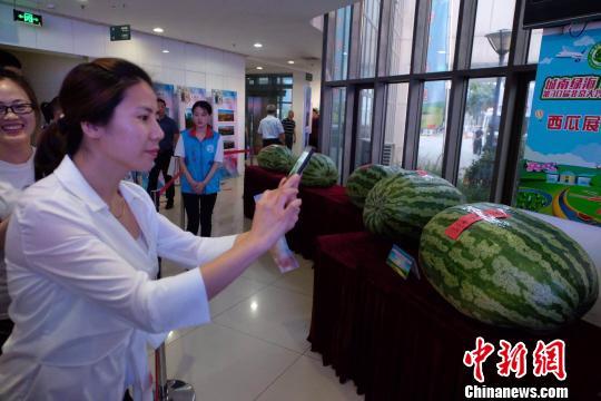 溧阳吃瓜新闻爆料事件,揭秘事件背后真相