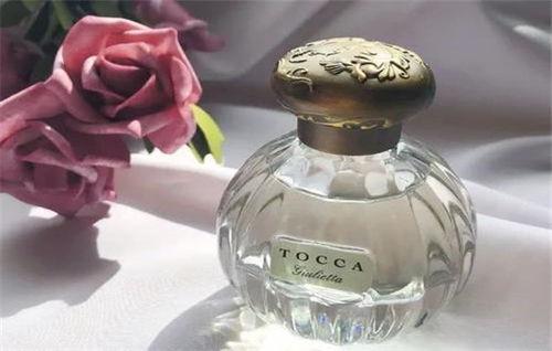 今日香水瓜种子价格,今日行情一览