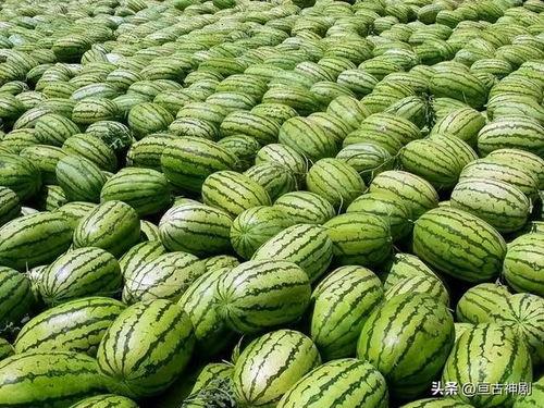 52爆料吃瓜黑料每日大赛,每日黑料大赛精彩回顾