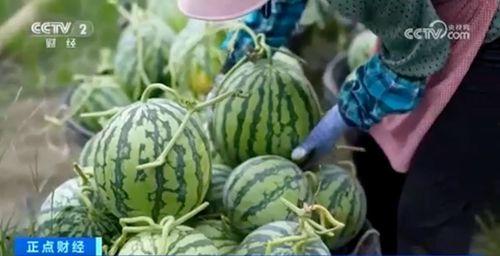 52爆料吃瓜黑料每日大赛,每日黑料大赛精彩回顾