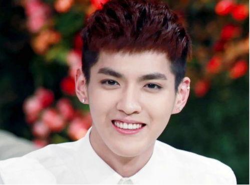 海角吃瓜黑料吴亦凡,揭秘吴亦凡黑料背后的真相