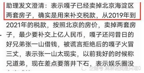 明星网红收多少税收,税额背后的数字游戏