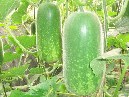 当今热门大瓜排行榜,娱乐圈风云再起，热点事件盘点