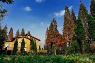 瓜州是今日哪里,探寻古代丝绸之路上的璀璨明珠