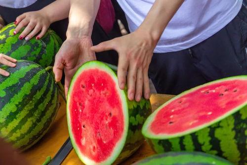 今日吃瓜往期,回顾往期精彩瞬间，揭秘娱乐圈幕后故事